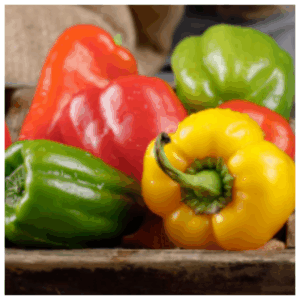Locally grown organic bell peppers – Better Options Farm produce