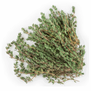 Fresh thyme harvested from Better Options Farm