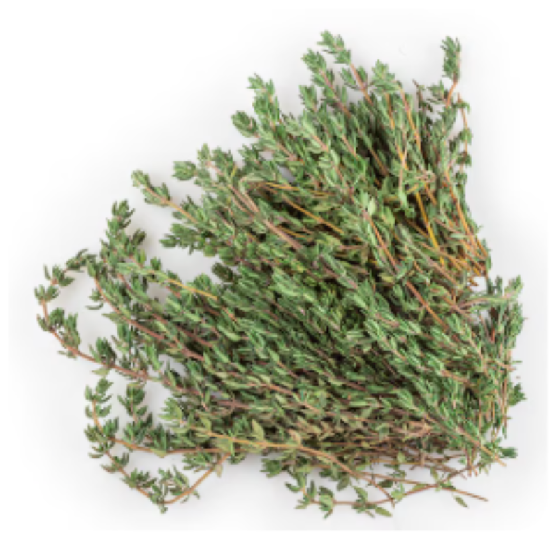 Fresh thyme harvested from Better Options Farm