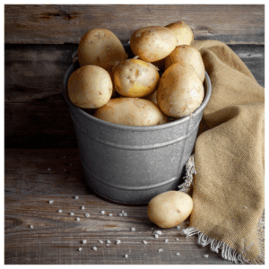 Fresh white potatoes harvested from Better Options Farm