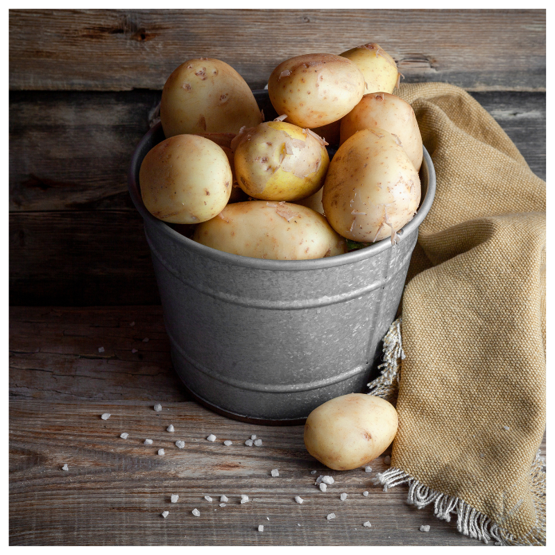 Fresh white potatoes harvested from Better Options Farm