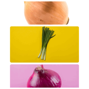 Fresh yellow, green, and red onions harvested from Better Options Farm